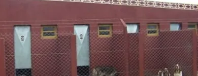 La imagen 5 de la Empresa GUARDERIA CANINA Y FELINA MODELO Guardería para Perros en Mar del Plata AR-B