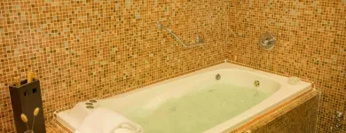 La imagen 10 de la Empresa HILTON BUENOS AIRES Hotel en Buenos Aires Argentina