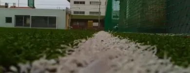 La imagen 2 de la Empresa LA PELOTA Futbol Infantil en Mar del Plata AR-B