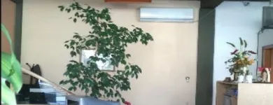 La imagen 1 de la Empresa MARIO BOLLINI - SEGUROS GENERALES Ventas de Seguros en Mar del Plata AR-B