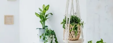 La imagen 5 de la Empresa MATILDA MACRAMÉ Tienda de artículos para el hogar en Capital Federal AR-B