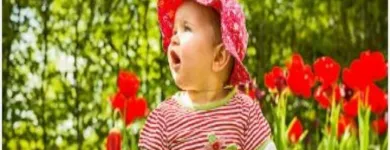 La imagen 3 de la Empresa PASITOS LINEA KIDS Vestidos en Oberá AR-N	