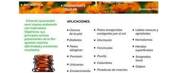 La imagen 2 de la Empresa PÍES SANOS Salón de belleza en Cipolletti AR-R	