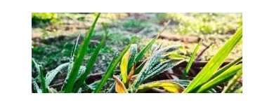 La imagen 2 de la Empresa RANCHO LOS MISIONEROS Pesca en Zárate AR-B