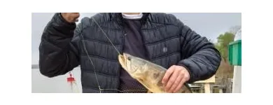 La imagen 9 de la Empresa RANCHO LOS MISIONEROS Pesca en Zárate AR-B