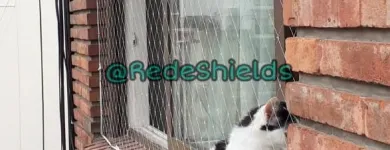 La imagen 4 de la Empresa REDESHIELDS Servicio de guardaespaldas en Capital Federal AR-B