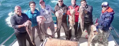 La imagen 4 de la Empresa REGALINI Pesca - Excursiones en Mar del Plata AR-B