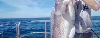 La imagen 5 de la Empresa REGALINI Pesca - Excursiones en Mar del Plata AR-B