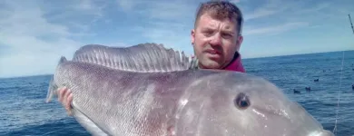La imagen 7 de la Empresa REGALINI Pesca - Excursiones en Mar del Plata AR-B