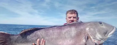 La imagen 8 de la Empresa REGALINI Pesca - Excursiones en Mar del Plata AR-B
