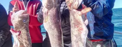 La imagen 2 de la Empresa REGALINI Pesca - Excursiones en Mar del Plata AR-B