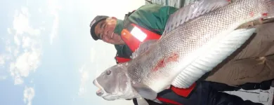 La imagen 3 de la Empresa REGALINI Pesca - Excursiones en Mar del Plata AR-B