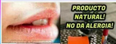 La imagen 5 de la Empresa SALUD Y BELLEZA YACQUELIN  JARA Tienda de alimentos naturales en Rincón de los Sauces AR-Q