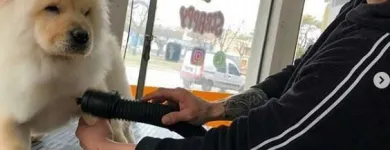 La imagen 1 de la Empresa SCRAPPY DUCHA Peluquerías para Razas en Tolosa AR-B