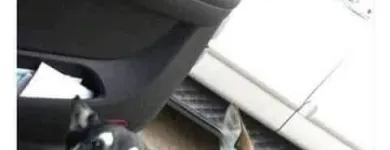 La imagen 3 de la Empresa SCRAPPY DUCHA Peluquerías para Razas en Tolosa AR-B