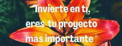 La imagen 8 de la Empresa TAROT HOLÍSTICO LUNA Tarot Mítico en Capital Federal AR-B