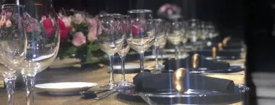 La imagen 6 de la Empresa TEMPOKELLY Organizador de eventos en Capitán Bermúdez AR-S