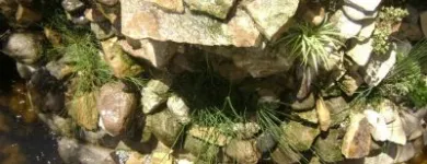 La imagen 4 de la Empresa TRIDENTINO CONSTRUCCIONES SRL Seguridad en Buenos Aires Argentina