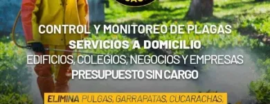 La imagen 5 de la Empresa V Y V FUMIGACIONES CONTROL DE PLAGAS Servicio de control de plagas en Posadas AR-N	