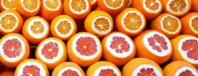 La imagen 1 de la Empresa VERTISOLES SRL AGROQUIMICOS Ventas de Agroquímicos en Concordia AR-E