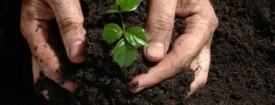 La imagen 3 de la Empresa VERTISOLES SRL AGROQUIMICOS Ventas de Agroquímicos en Concordia AR-E