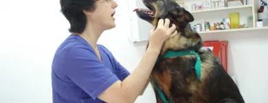 La imagen 4 de la Empresa VETERINARIA ARIZIO Veterinarias en Buenos Aires AR-C