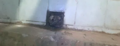 La imagen 16 de la Empresa WALTER ARSCHAK - GASISTA MATRICULADO Electricidad, Electrónica en Mar del Plata AR-B