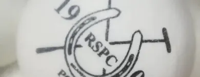 La imagen 1 de la Empresa WWW.POLOBALLS.COM Ventas en Talabarterias en Capital Federal AR-B