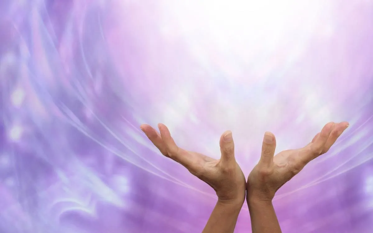 La imagen 1 de la Empresa MI AURA