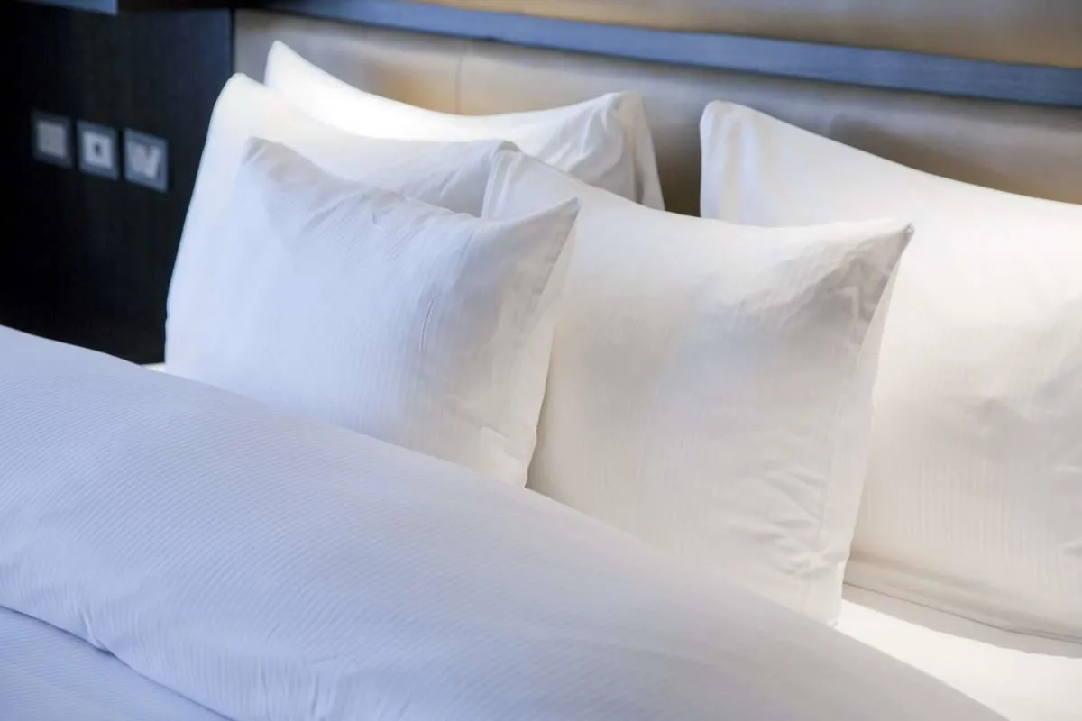 La imagen 30 de la Empresa HILTON BUENOS AIRES