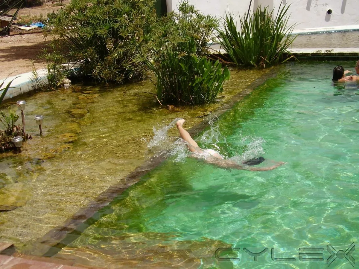 La imagen 6 de la Empresa BIO BAYRES