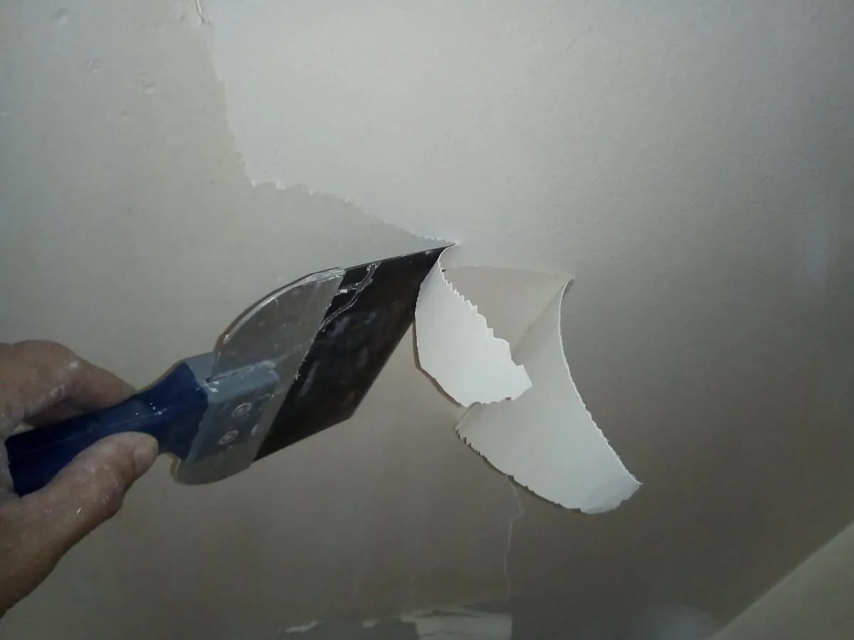 La imagen 3 de la Empresa PAINT FINISH