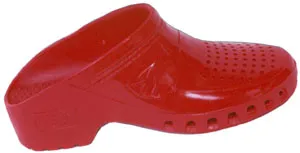 La imagen 6 de la Empresa N J MARCUCCI SA - ZUECOS RUNES - CALZADO ESTERILIZABLE