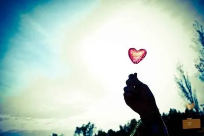 La imagen 9 de la Empresa AMOR POR LAS FOTOS