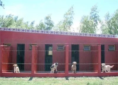 La imagen 3 de la Empresa GUARDERIA CANINA Y FELINA MODELO