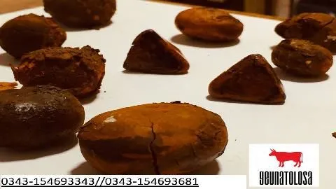 La imagen 1 de la Empresa CALCULOS BILIARES  BOVINOS