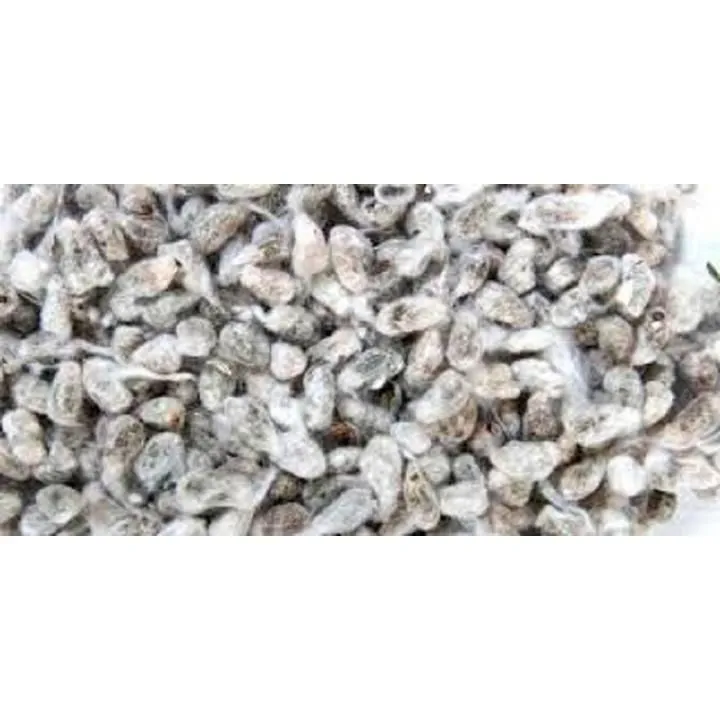 La imagen 3 de la Empresa BUGATTI  SAICA