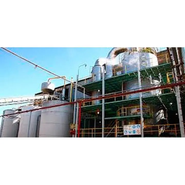 La imagen 4 de la Empresa BUGATTI  SAICA