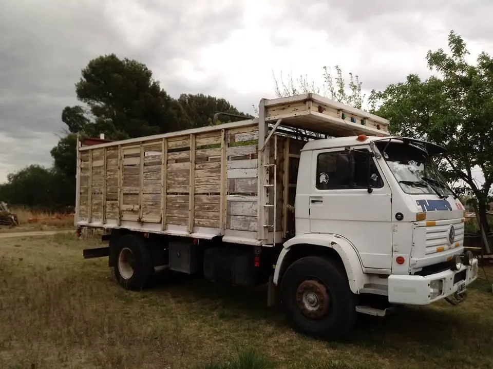 La imagen 1 de la Empresa FLETES DRAGO