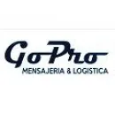 GO PRO MENSAJERÍA Y LOGÍSTICA Servicio de mensajería en Capital Federal AR-B