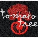 ESTUDIO DE GRABACIÓN TOMATO TREE Productor de música en Ciudad De Buenos Aires AR-B
