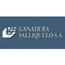 GANADERA SALLIQUELO SA Consultoría Y Servicios Para Empresas en Salliqueló AR-B