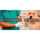 VETERINARIA PEÑALOZA Laboratorios Veterinarios en Santa Fe Argentina
