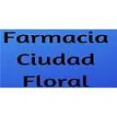 FARMACIA CIUDAD FLORAL Medicamentos para el Tratamiento del Dolor en Escobar AR-B