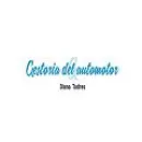 GESTORIA Y SOLUCIONES DEL AUTOMOTOR  DIANA TODRES Transferencias por Sucesión en Capital Federal AR-B