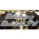 BATISTUTA Y BATISTUTA SA Ganado En Pie en Reconquista AR-S