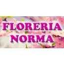 FLORERIA NORMA Florerias en Villa Constitución AR-S