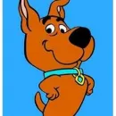 SCRAPPY DUCHA Peluquerías para Razas en Tolosa AR-B