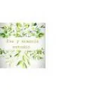 ESTUDIO PAZ Y ARMONIA Tratamientos Faciales en Puerto Madryn AR-U