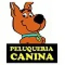 SCRAPPY 2 Peluquerías para Razas en Tolosa AR-B